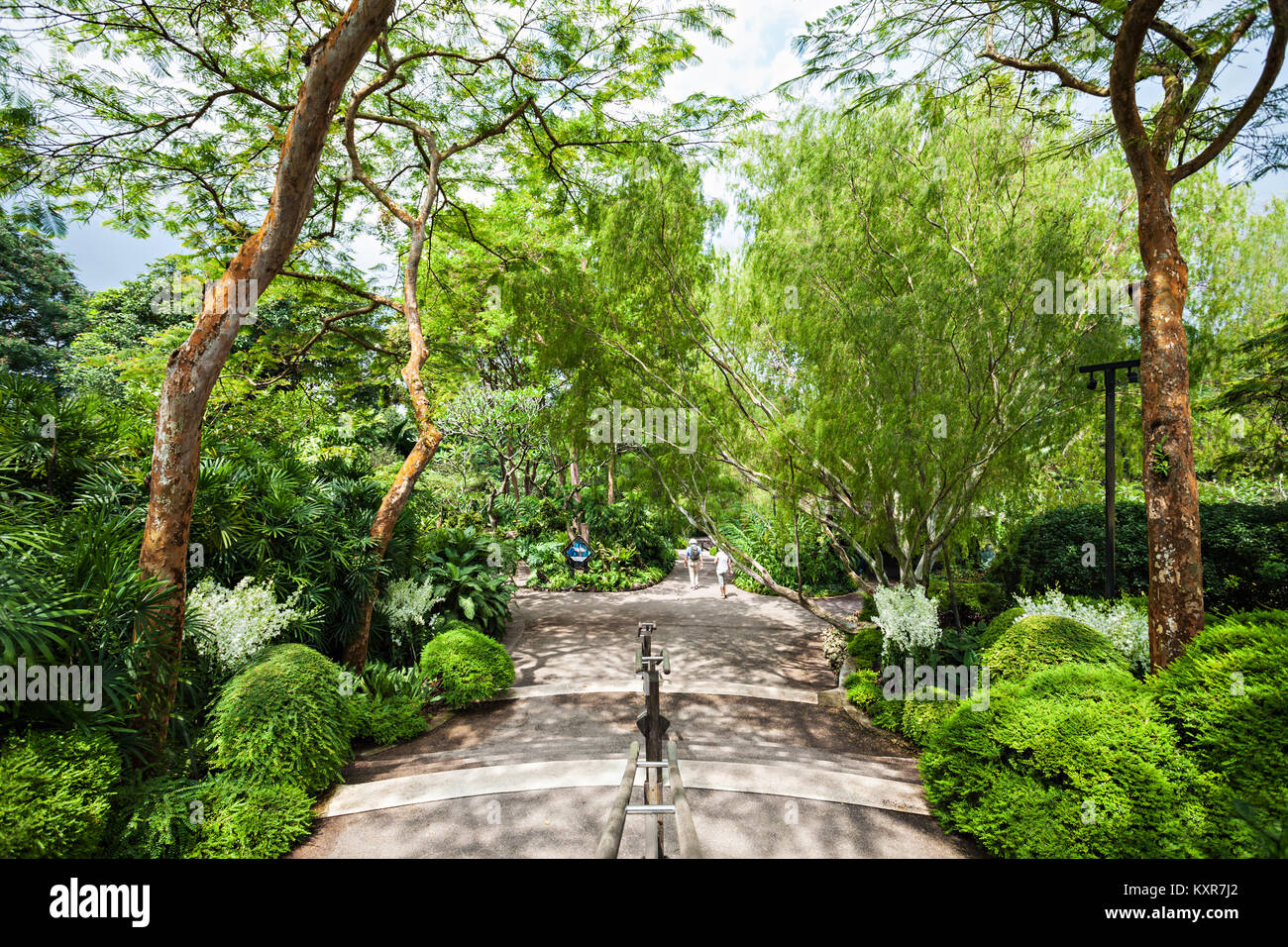 Singapour - le 17 octobre 2014 : Le National Orchid Garden, situé dans le Jardin Botanique de Singapour. Banque D'Images