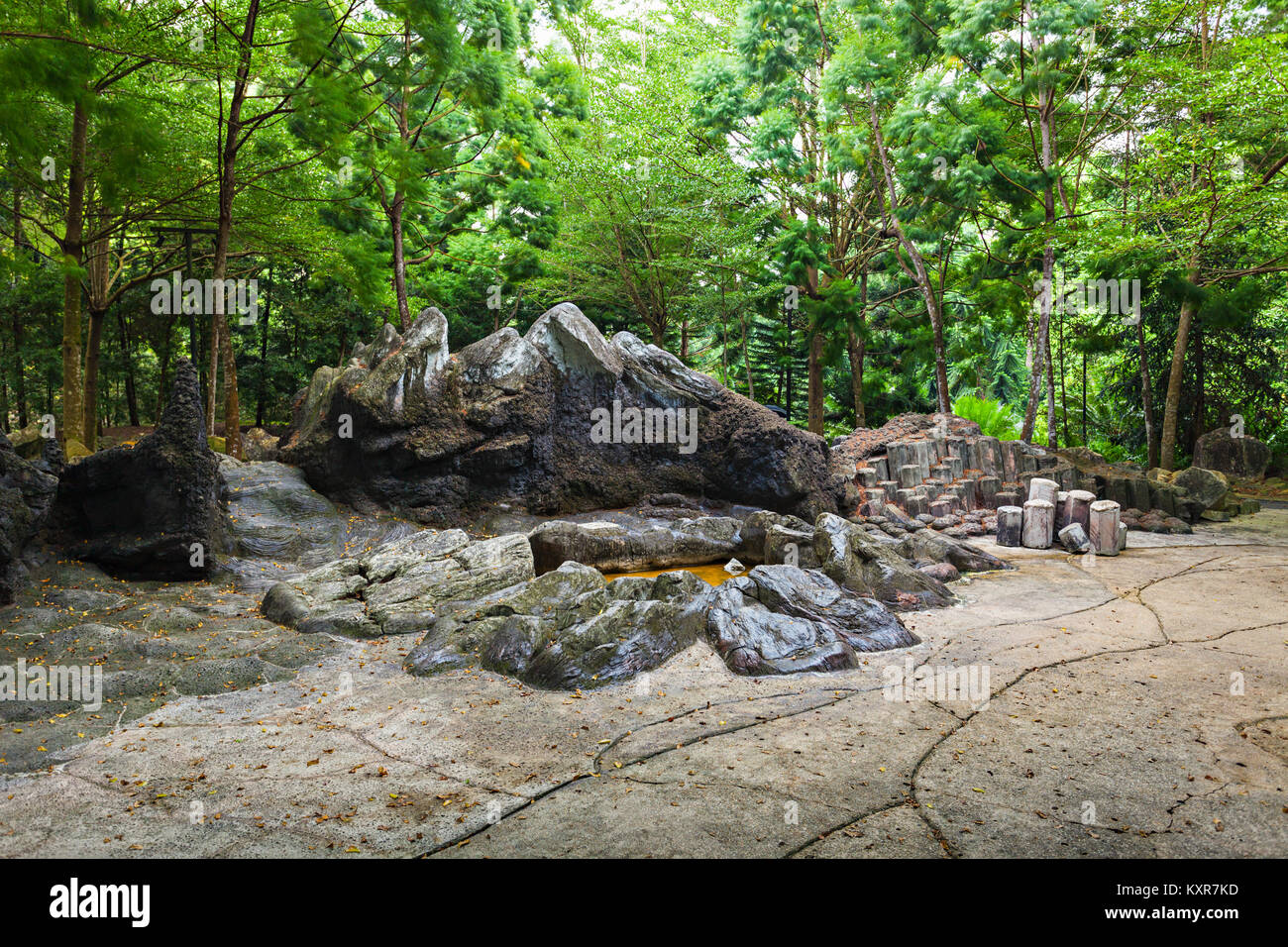 Singapour - le 17 octobre 2014 : Le Singapore Botanic Gardens est un jardin botanique de 74 hectares à Singapour. Banque D'Images