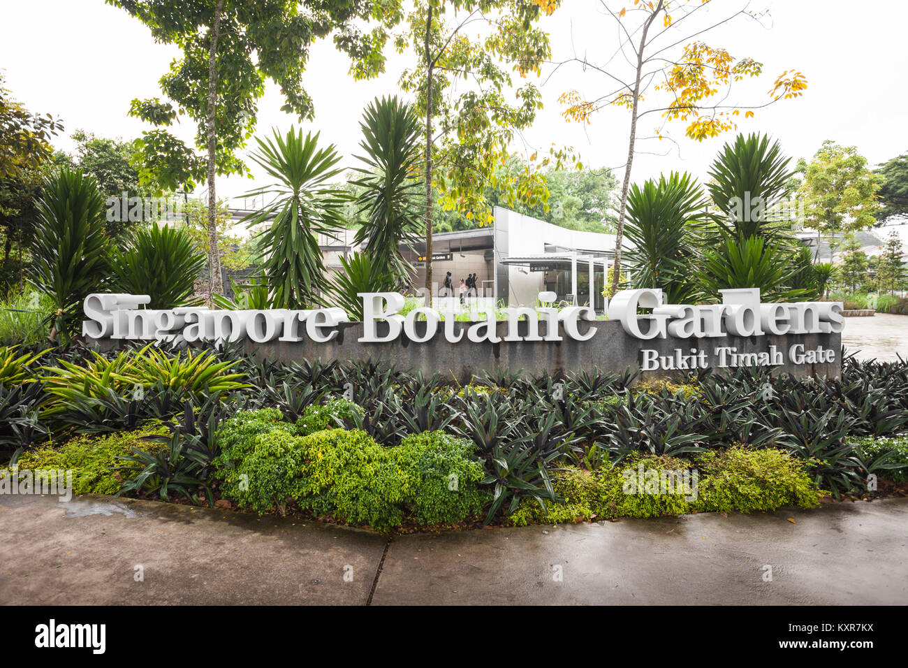 Singapour - le 17 octobre 2014 : Le Singapore Botanic Gardens est un jardin botanique de 74 hectares à Singapour. Banque D'Images