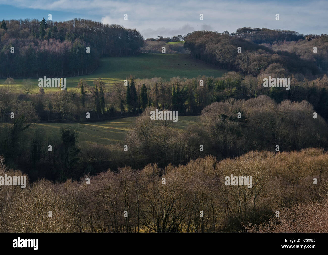 De belles vues sur la campagne galloise à Llangollen Banque D'Images