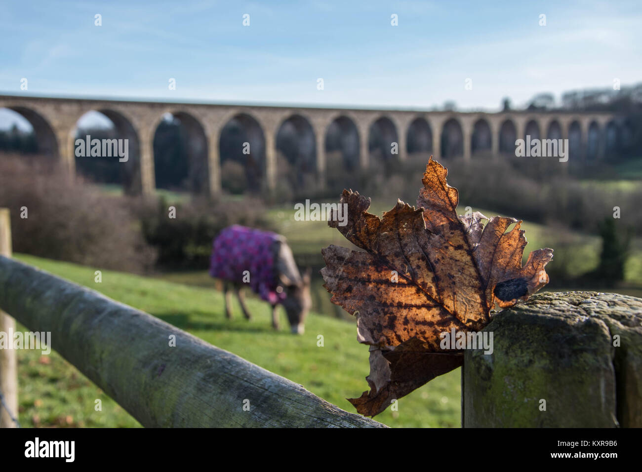 De belles vues sur la campagne galloise à Llangollen Banque D'Images