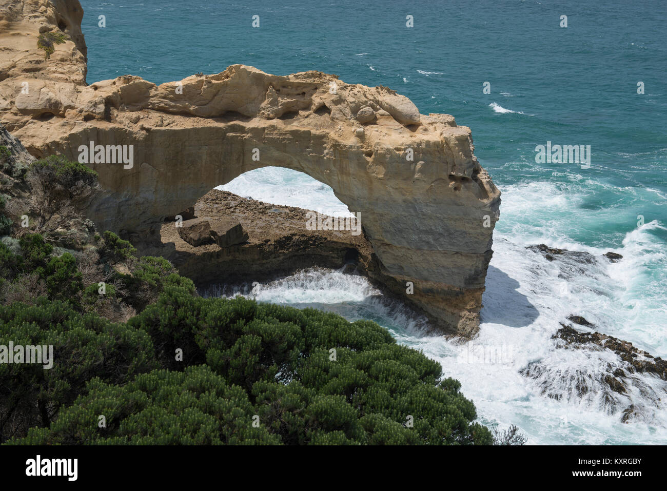 L'Arch est une formation de roche calcaire près de Port Campbell, le long de la Great Ocean Road, à Victoria, en Australie. Banque D'Images