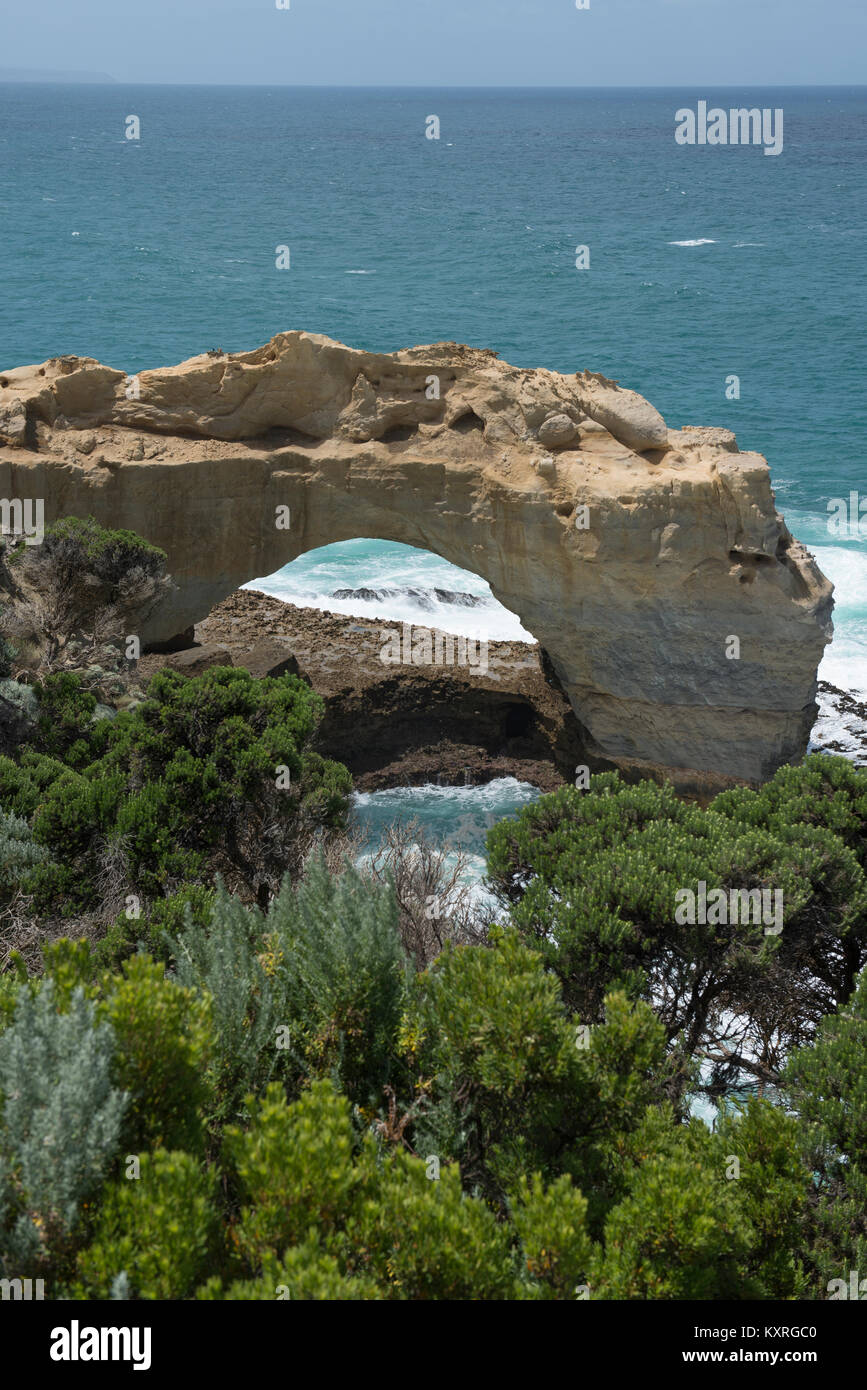 L'Arch est une formation de roche calcaire près de Port Campbell, le long de la Great Ocean Road, à Victoria, en Australie. Banque D'Images