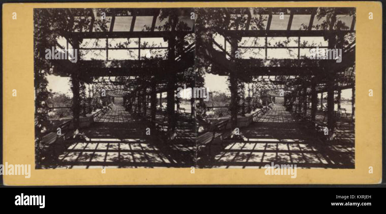 Central Park. Recouverte de Vigne (à pied.), de Robert N. Dennis collection de vues stéréoscopiques Banque D'Images