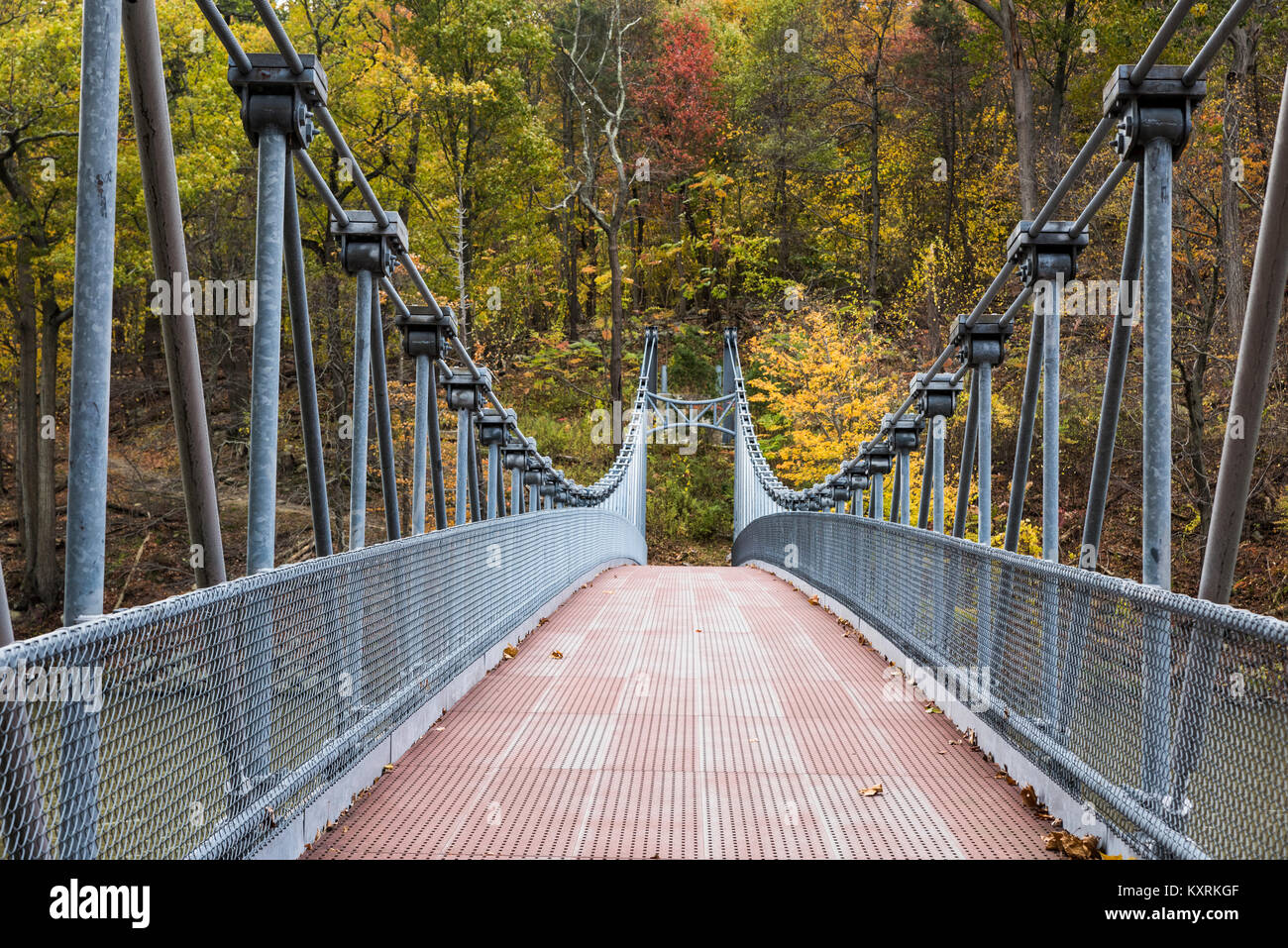 Popolopen Passerelle Suspension à Bear Mountain State Park, New York, USA. Banque D'Images
