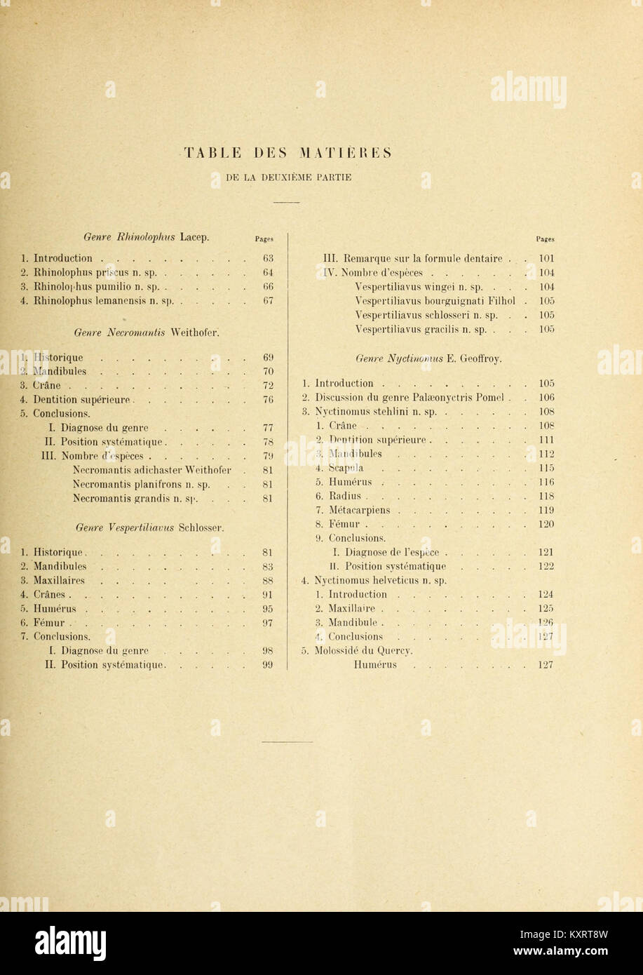 Page tirée d'une étude paléontologique sur les chauves-souris de l'ère tertiaire, axée sur les restes fossiles, la classification et les caractéristiques évolutives. Banque D'Images