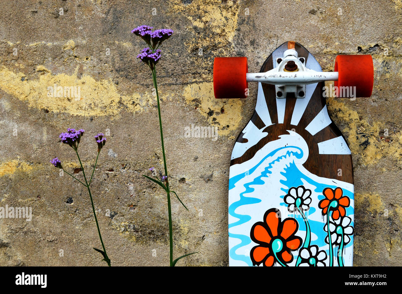 Longskate skateboard avec floral design appuyé contre un mur à côté de fleur Banque D'Images