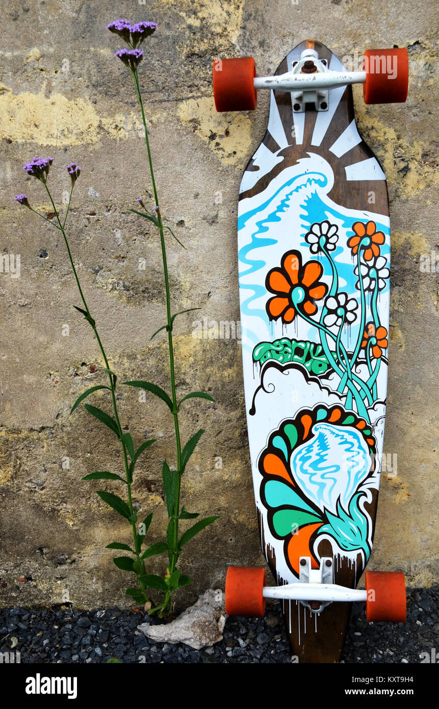 Longskate skateboard avec floral design appuyé contre un mur à côté de fleur Banque D'Images