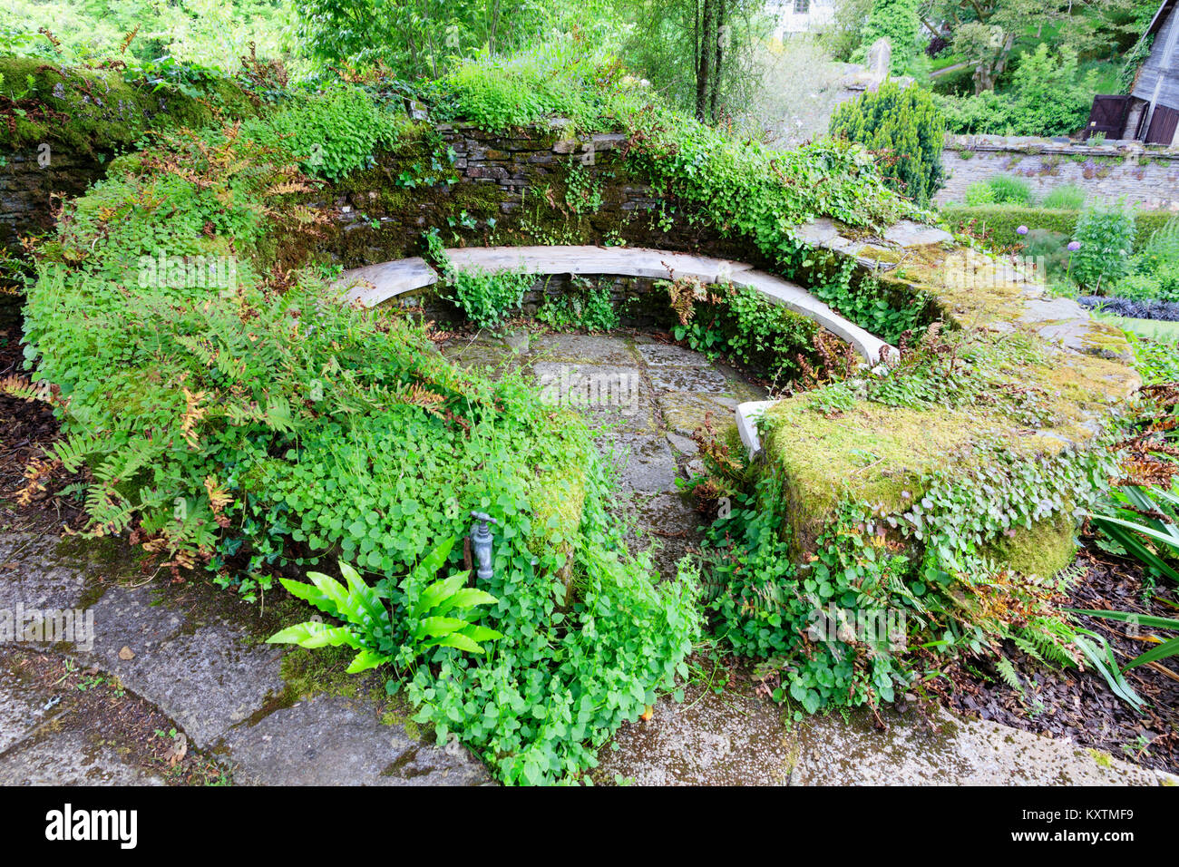 Mousse, fougère et Campanula couverts mur de pierre entourent une aire de séjour circulaire ombragé à la maison du jardin, Buckland Monachorum, Devon, UK Banque D'Images