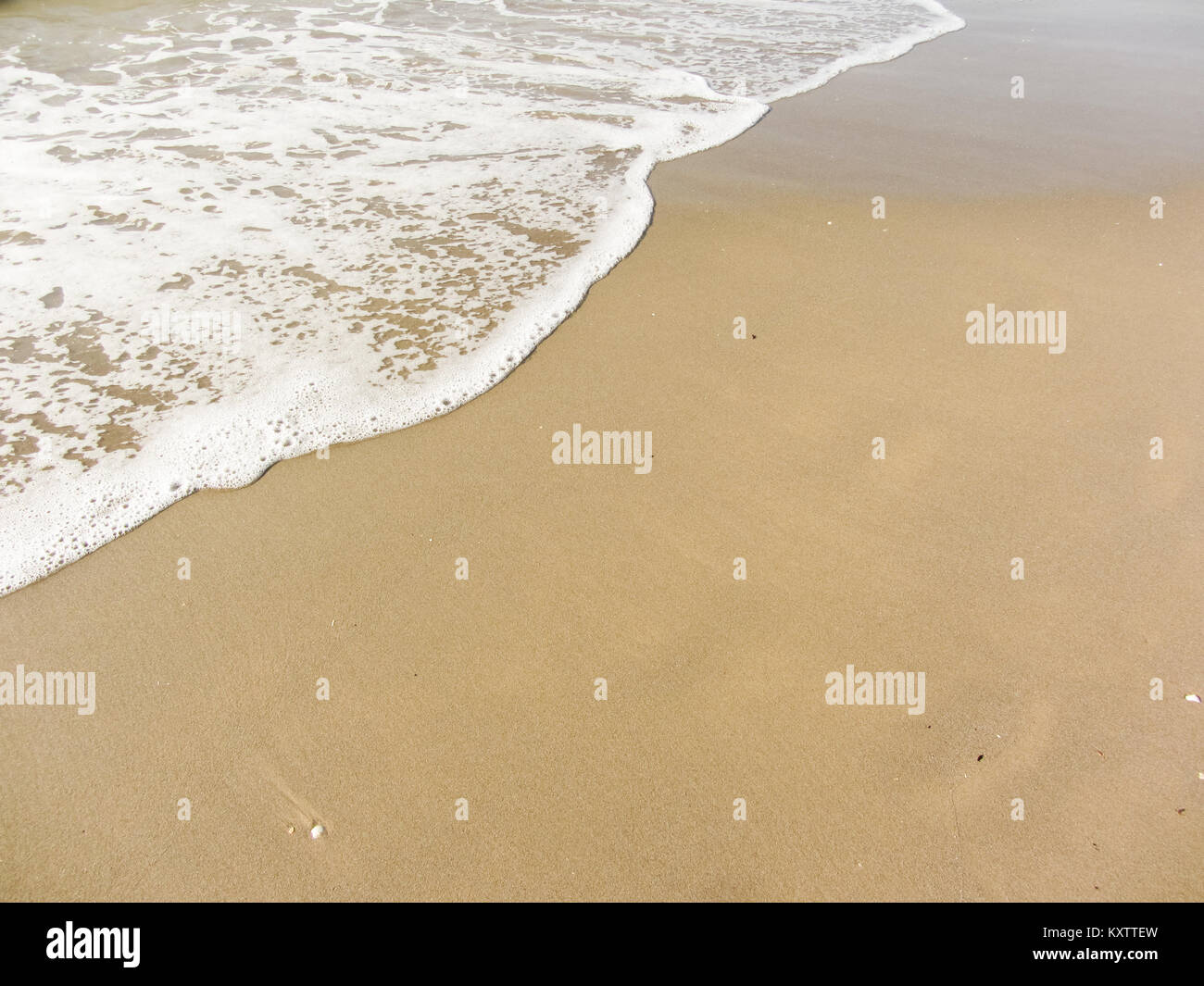 Le long du rivage de la mer d'une plage italienne Banque D'Images
