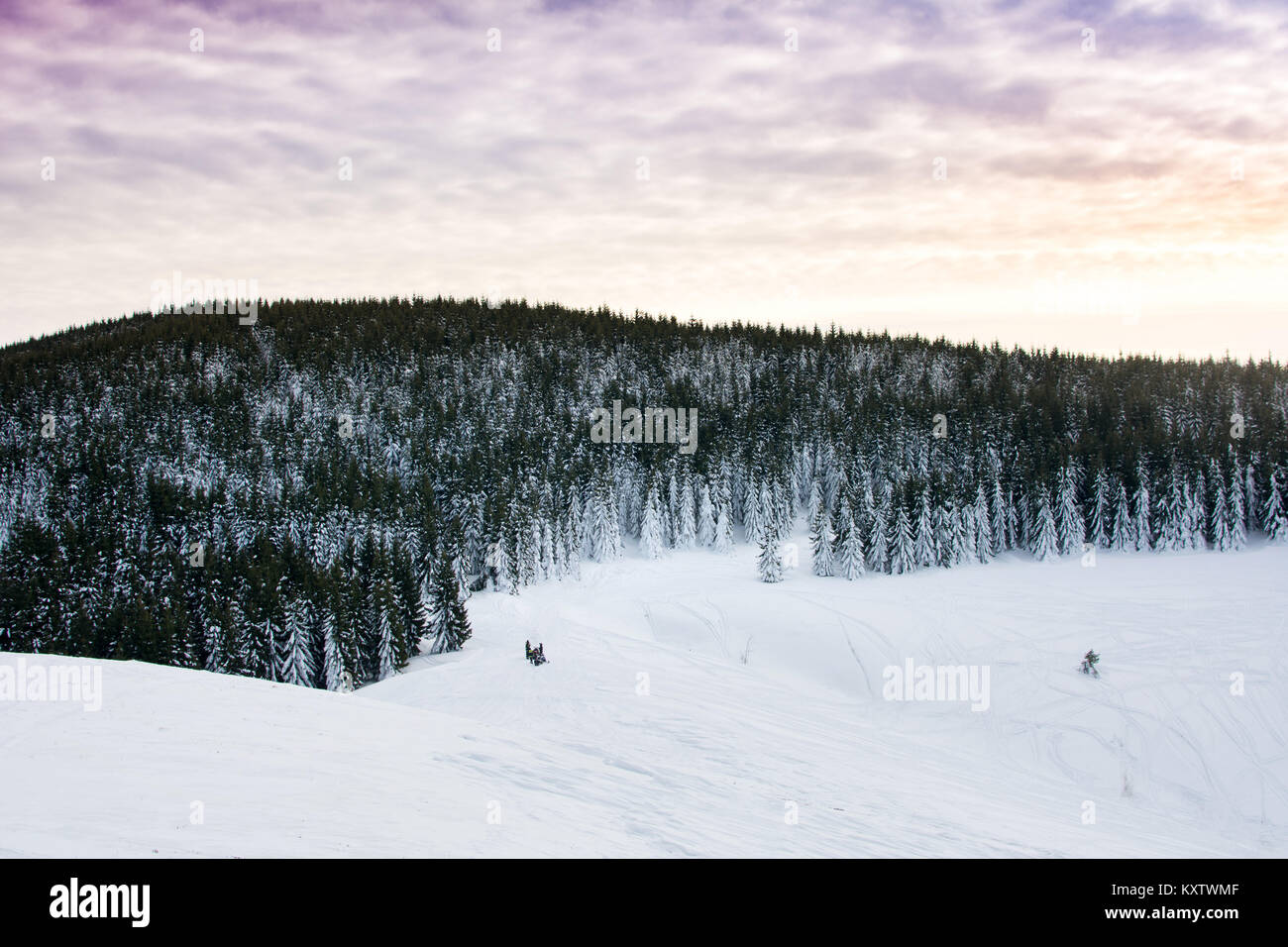 Hiver paisible paysage de montagne couvert de neige au coucher du soleil Banque D'Images