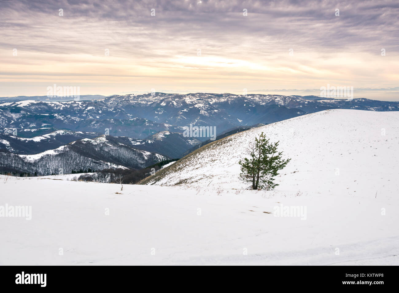 Hiver paisible paysage de montagne couvert de neige au coucher du soleil Banque D'Images