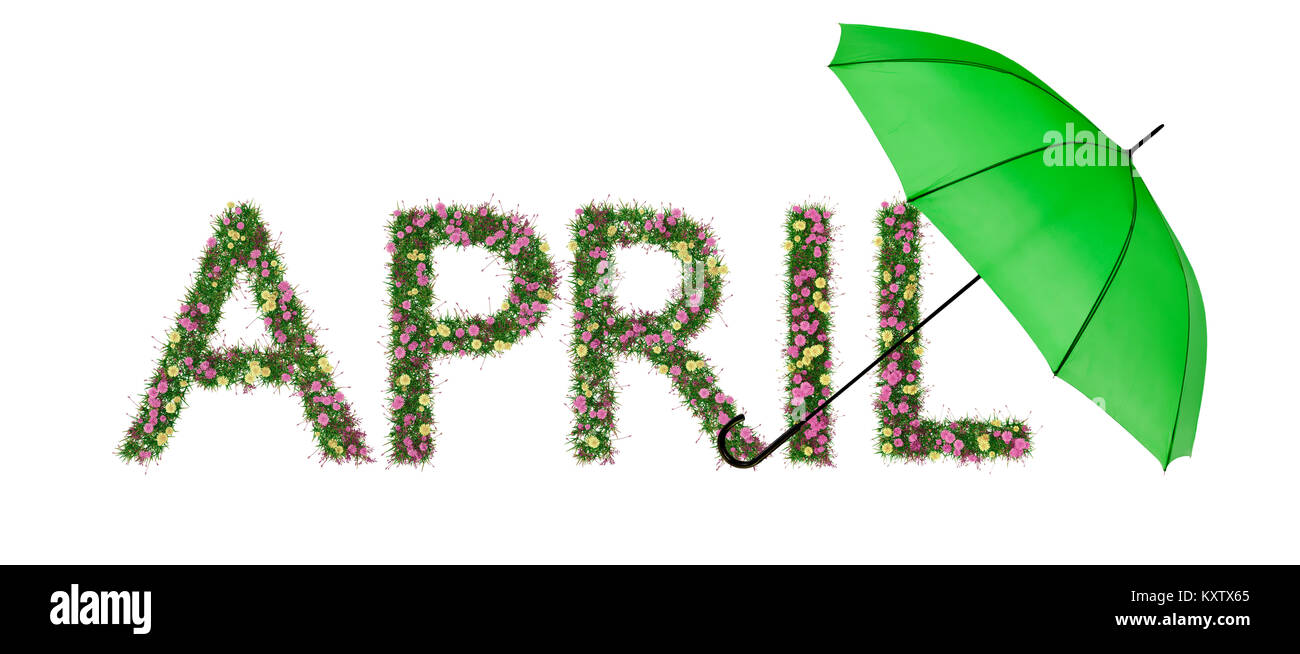 - Saison printemps, printemps. Fleurs et brolly. Isolated on white Banque D'Images