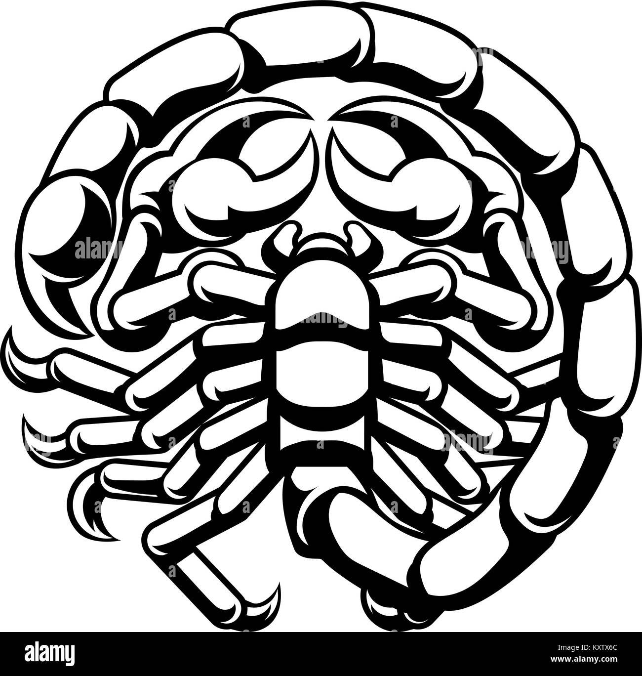 Signe du Zodiaque Astrologie Scorpion scorpion Illustration de Vecteur