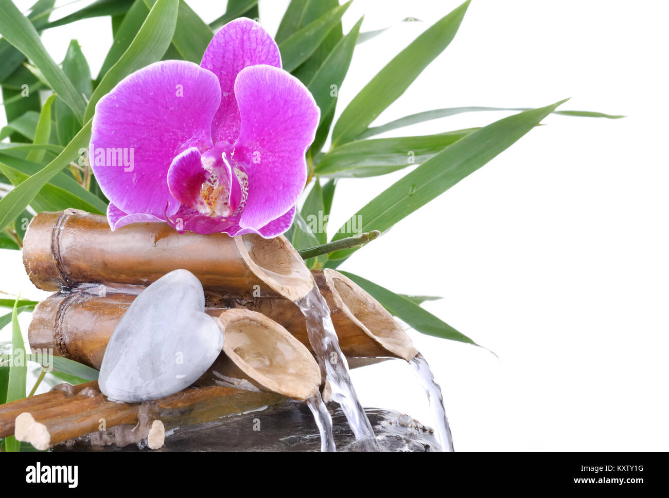 Orchid sur une petite fontaine et de galets en forme de coeur sur fond blanc Banque D'Images