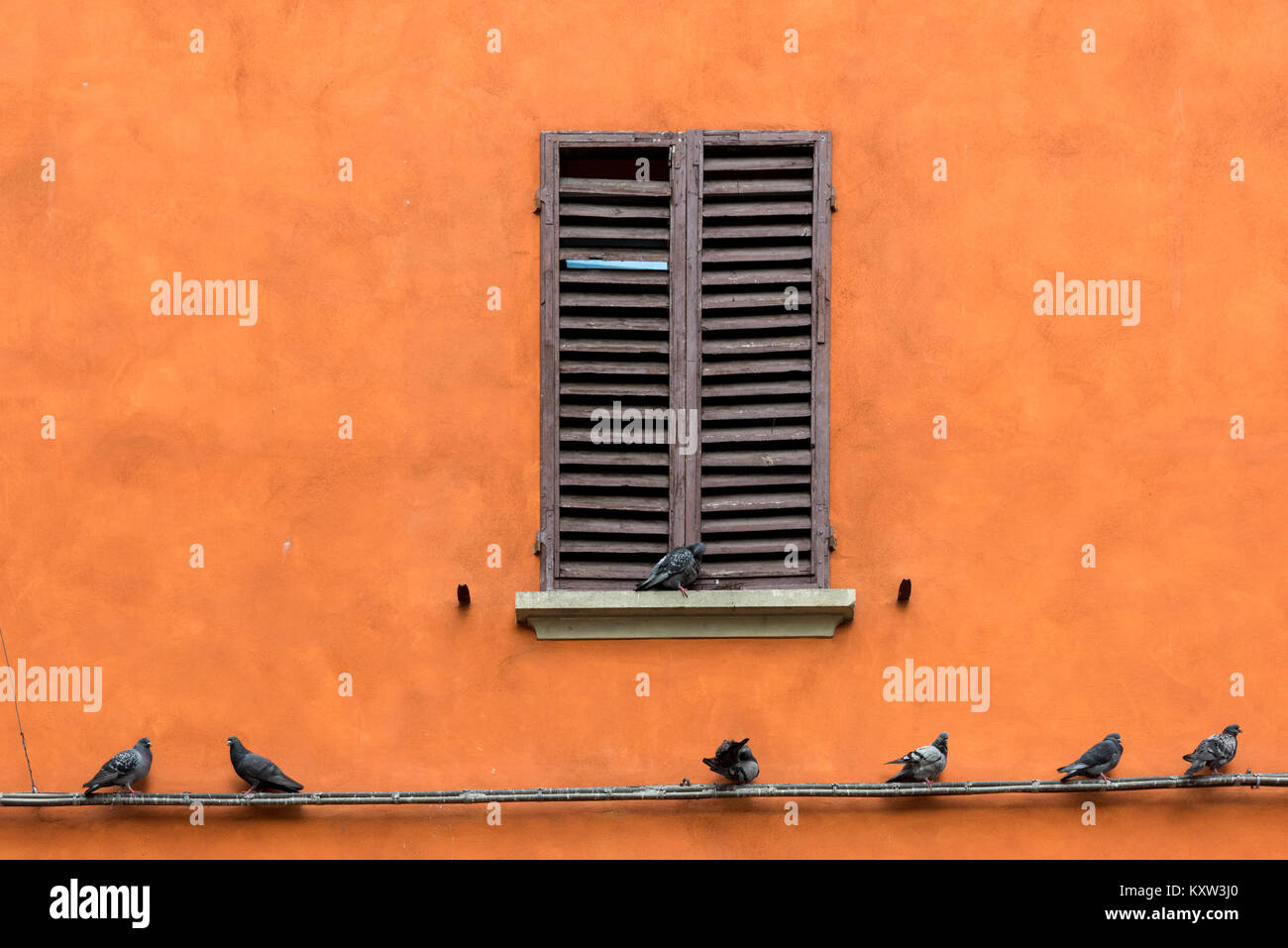 Une fenêtre à volets sur un mur peint teracotta avec pigeons assis sur un rail à Bologne Italie Banque D'Images