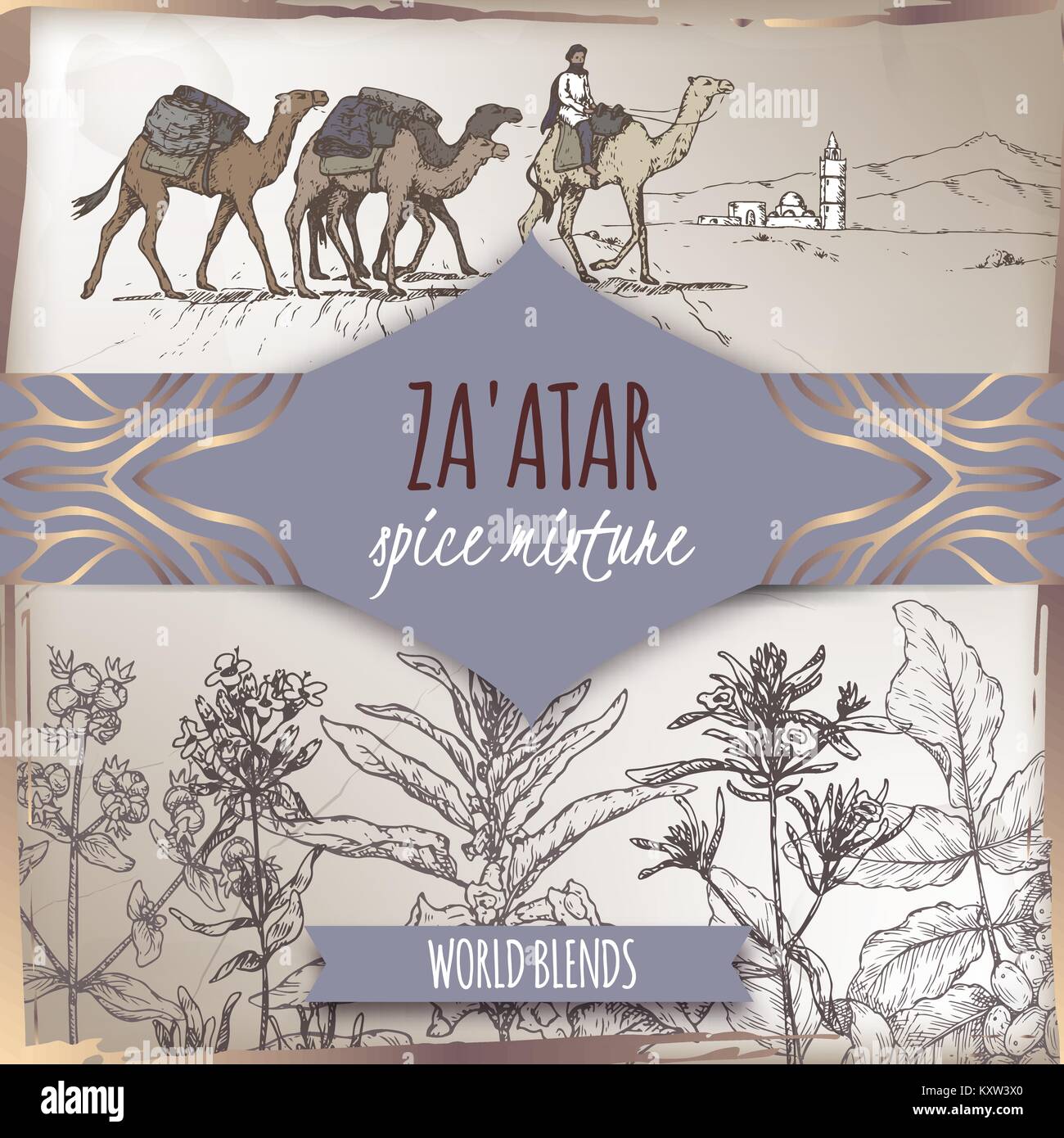 Zaatar modèle avec paysage désertique syrien, l'origan, le sumac, sésame, thym, sarriette, croquis. Illustration de Vecteur