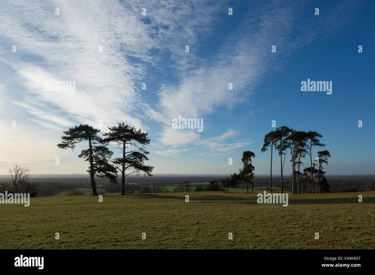 Vue sur le Kentish Weald de b-5542, au Royaume-Uni. Banque D'Images