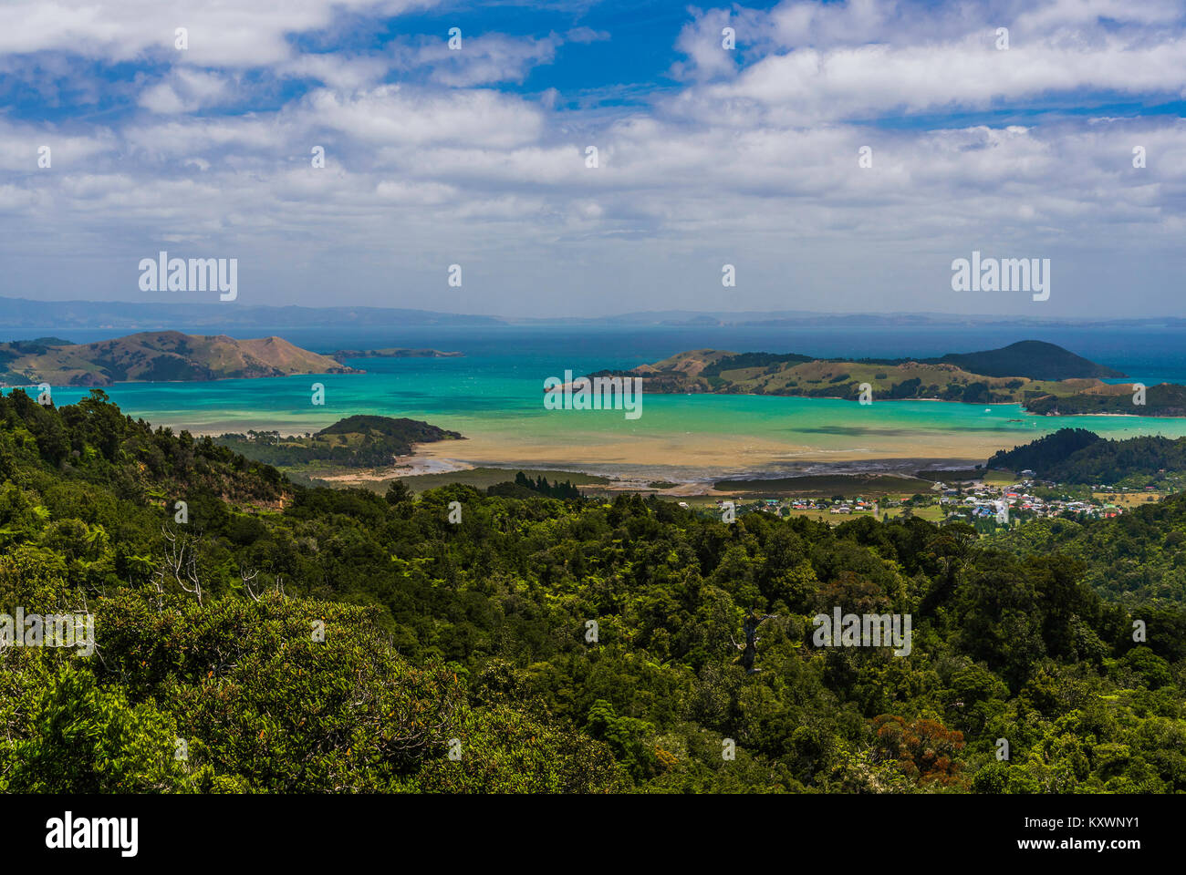 Paysage et végétation de Coromandel pensinsula, Nouvelle-Zélande Banque D'Images