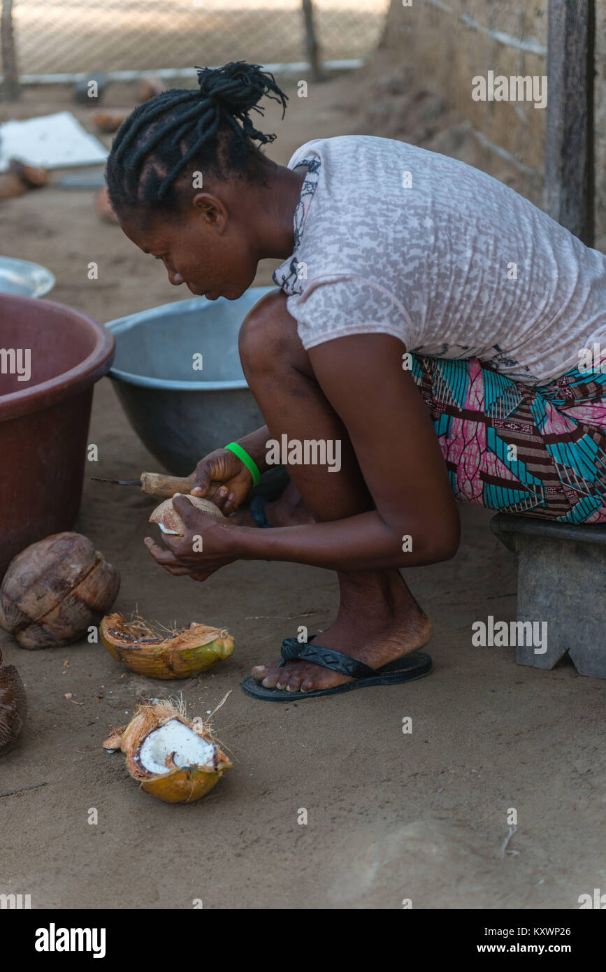 Couper la viande de la noix de coco. Production de l'huile de noix de coco,Aziza Island dans le fleuve Volta, Ada Foah, Région Grand Accra, Ghana, Afrique Banque D'Images