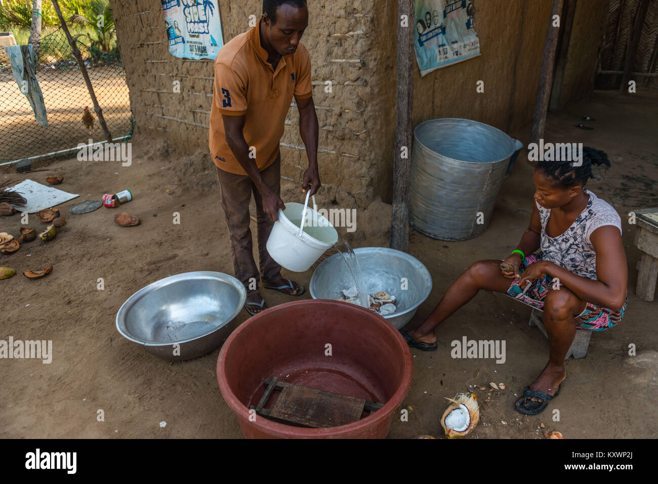 Thomas Thompsoni nettoie les cocotiers tandis que sa femme coupe la viande de la coco. Production de l'huile de noix de coco,Aziza Island dans le fleuve Volta, Ada Banque D'Images