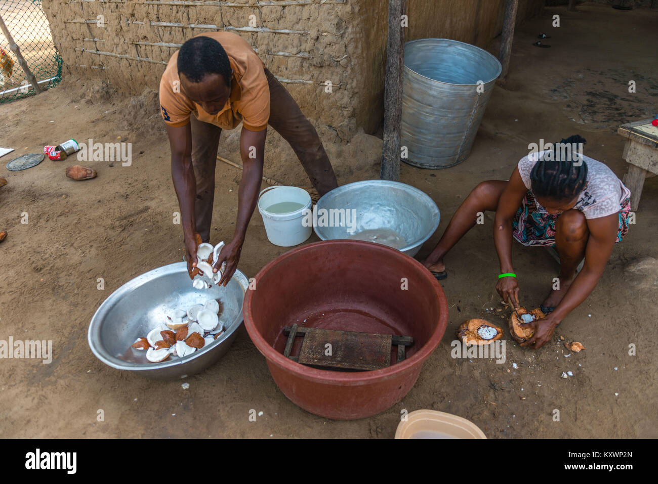 Thomas Thompsoni nettoie les cocotiers tandis que sa femme coupe la viande de la coco. Production de l'huile de noix de coco,Aziza Island dans le fleuve Volta, Ada Banque D'Images