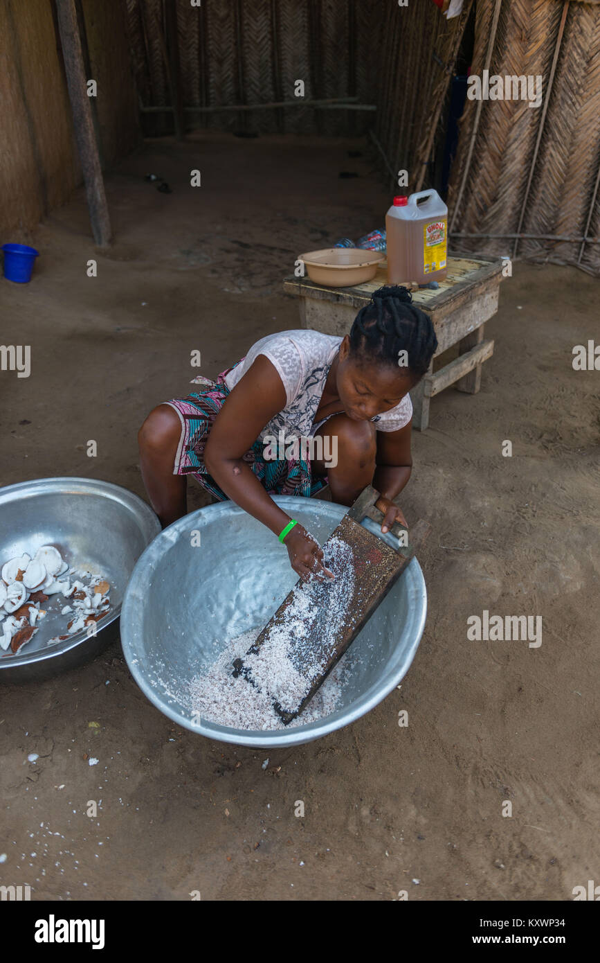 Le broyage de la chair de noix de coco sur un self-made. Production de l'huile de noix de coco,Aziza Island dans le fleuve Volta, Ada Foah, Région Grand Accra, Ghana, Afri Banque D'Images