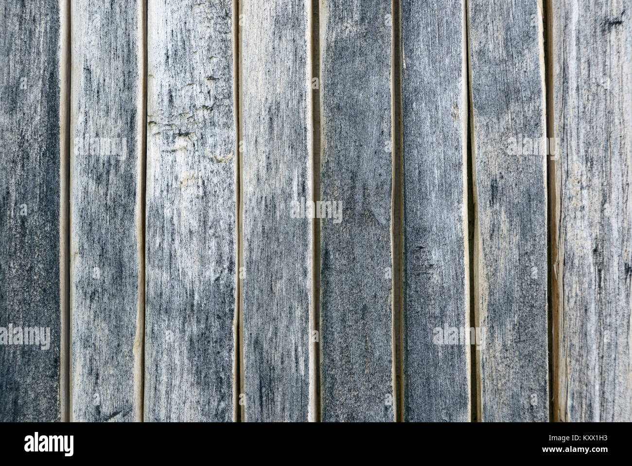 Close up de panneaux de clôture en bois gris. Banque D'Images