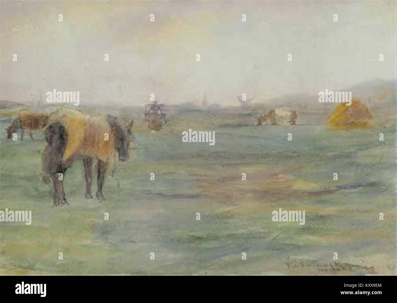 « Frieseke Horse in a Field » représente un cheval qui paissait dans un pré hollandais, illustrant l’atmosphère calme de la Hollande rurale et sa beauté pastorale. Banque D'Images