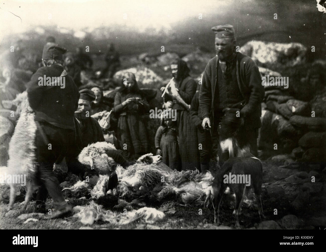 La photographie de Førergate, une route dans un village norvégien, montre des maisons traditionnelles à ossature de bois, un terrain rural et des infrastructures de transport du début du XXe siècle dans un cadre scandinave. Banque D'Images