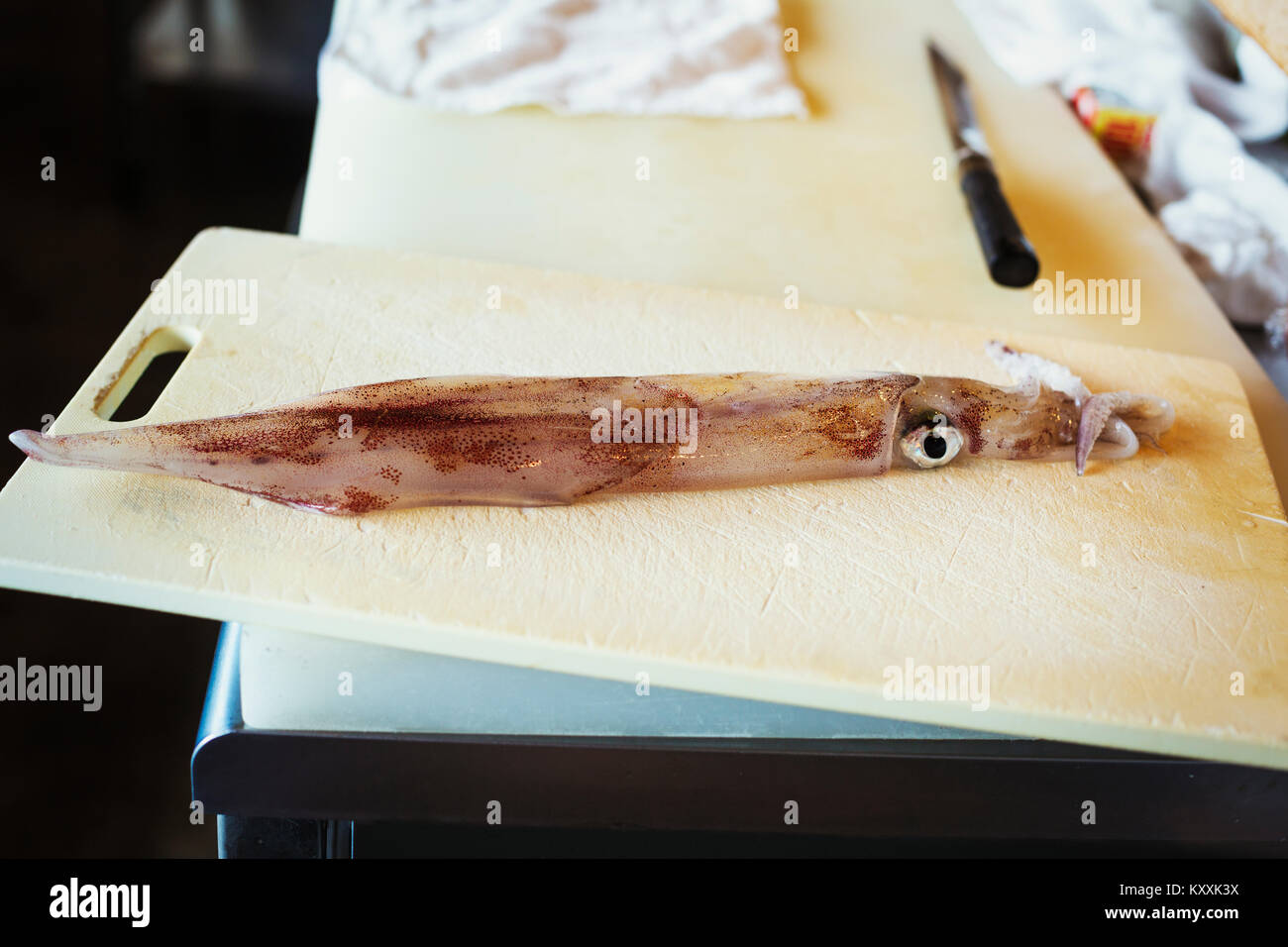 High angle close up d'un squid sur planche à découper sur le comptoir à sushis japonais restaurant. Banque D'Images