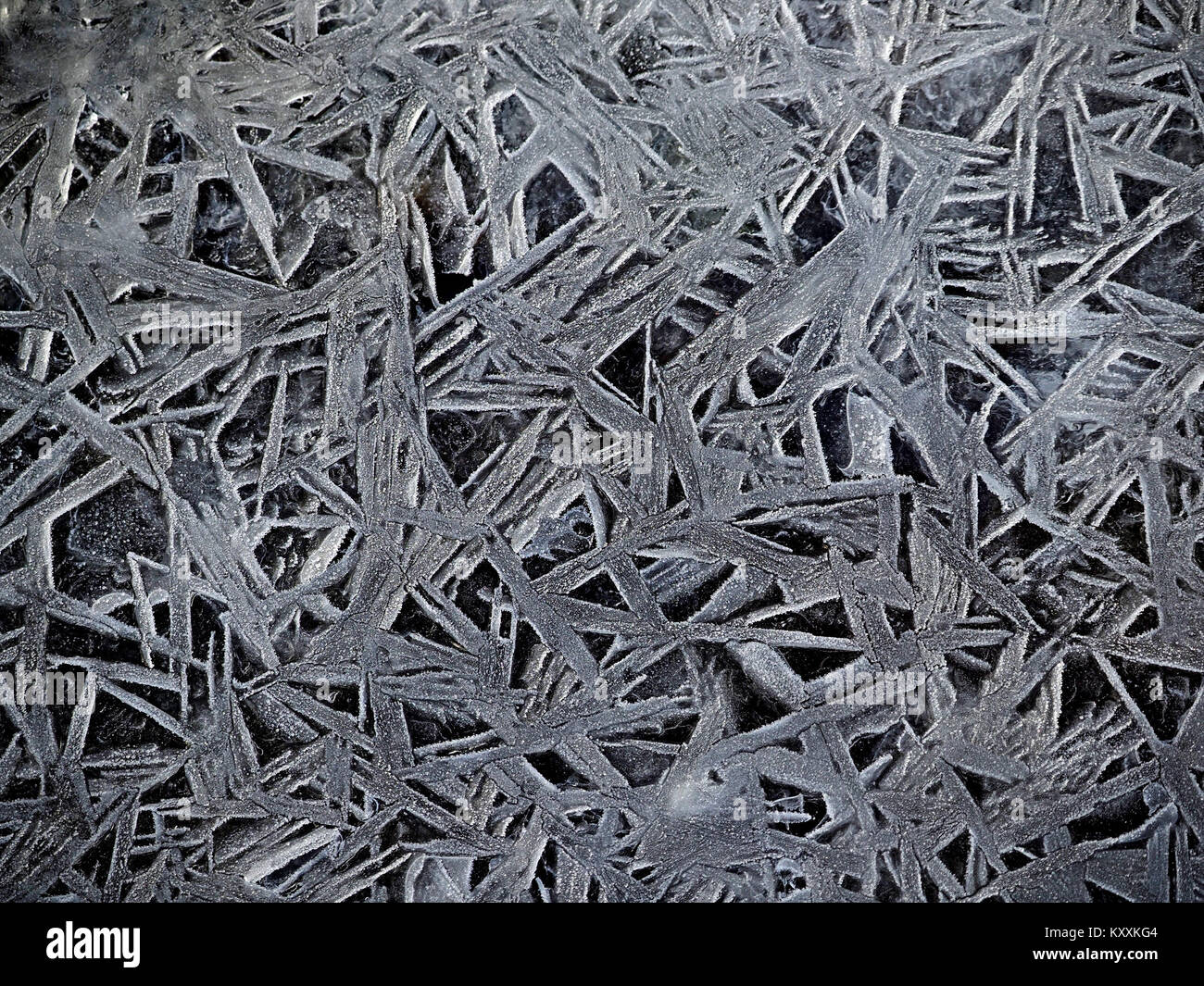 Les patrons de gel de cristaux de glace dans les mares gelées en version hiver météo en Cumbria England UK Banque D'Images