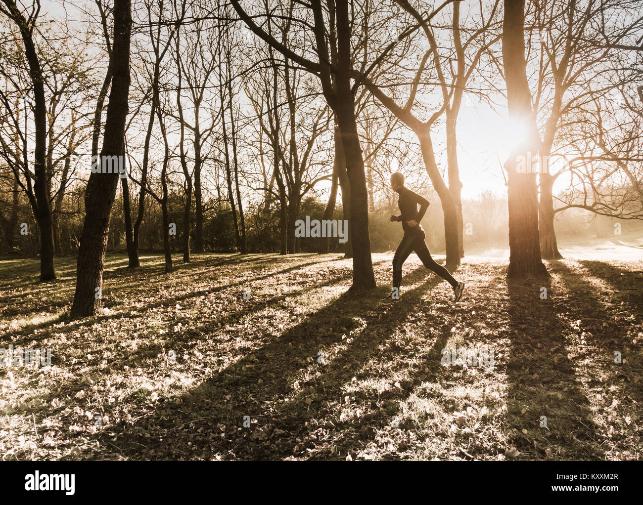 Man running through woodland au lever du soleil.Shinrin Youku (forêt). Banque D'Images