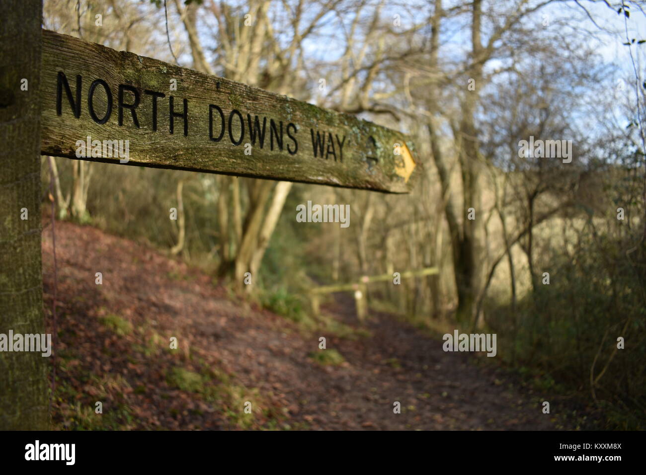 North Downs Way fingerpost situé dans une autre section du sud de l'Angleterre à vélo dans les collines du Surrey. Banque D'Images