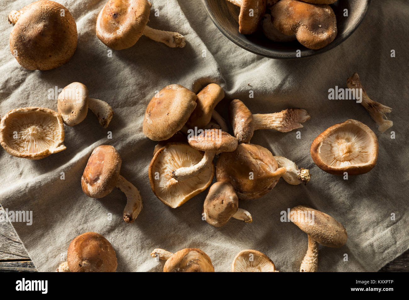Biologiques sains Champignons Shiitake frais prêts à cuire Banque D'Images