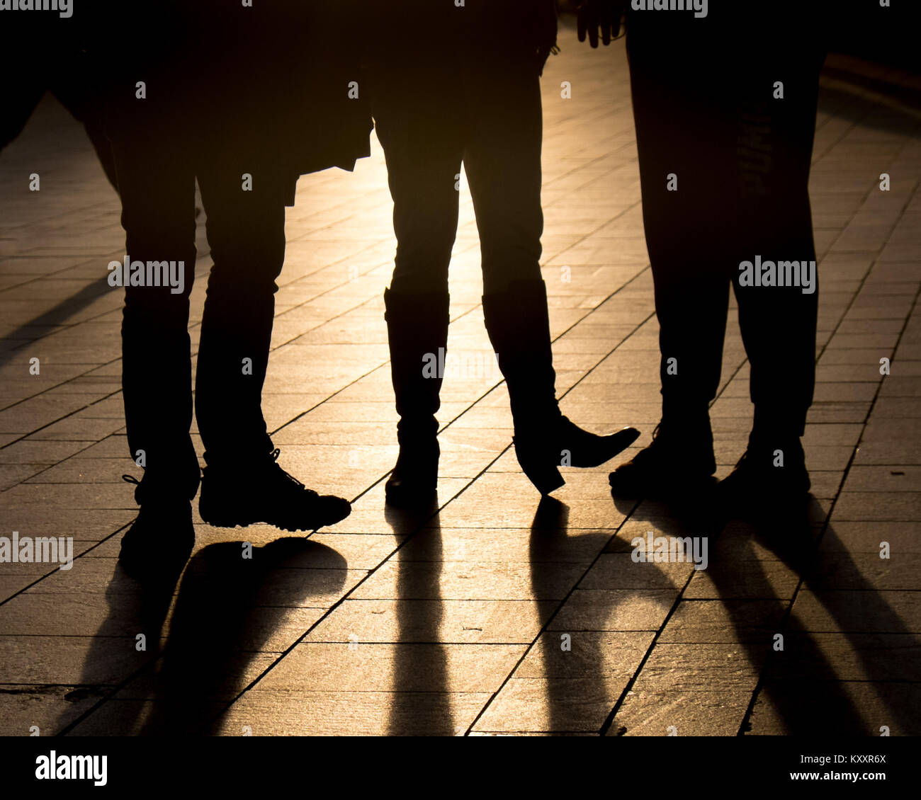 Les amis s'chat au coucher du soleil. Banque D'Images