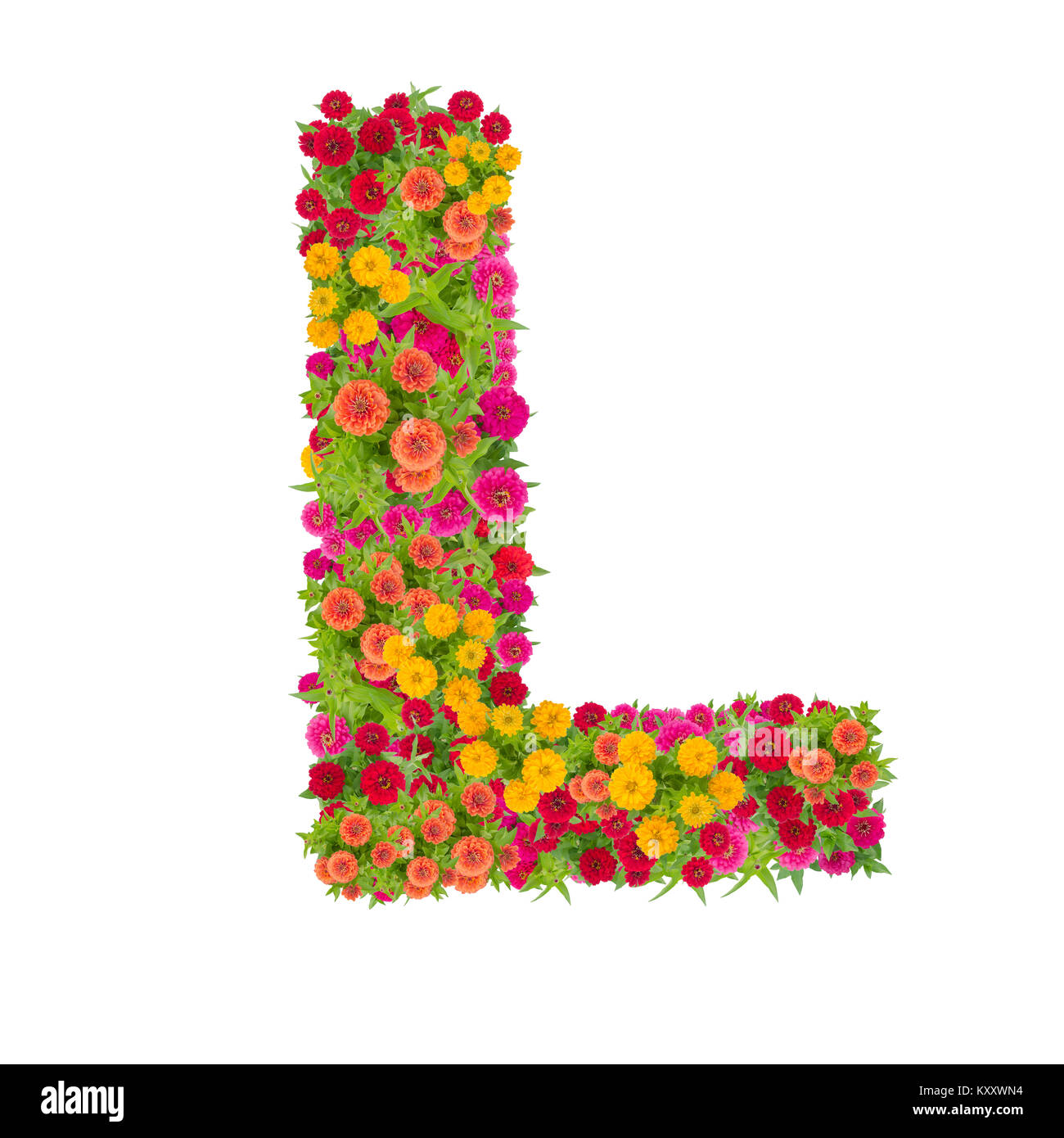 Lettre L'alphabet fait de zinnia ABC fleurs type de concept comme logo.Typographie design with clipping path Banque D'Images