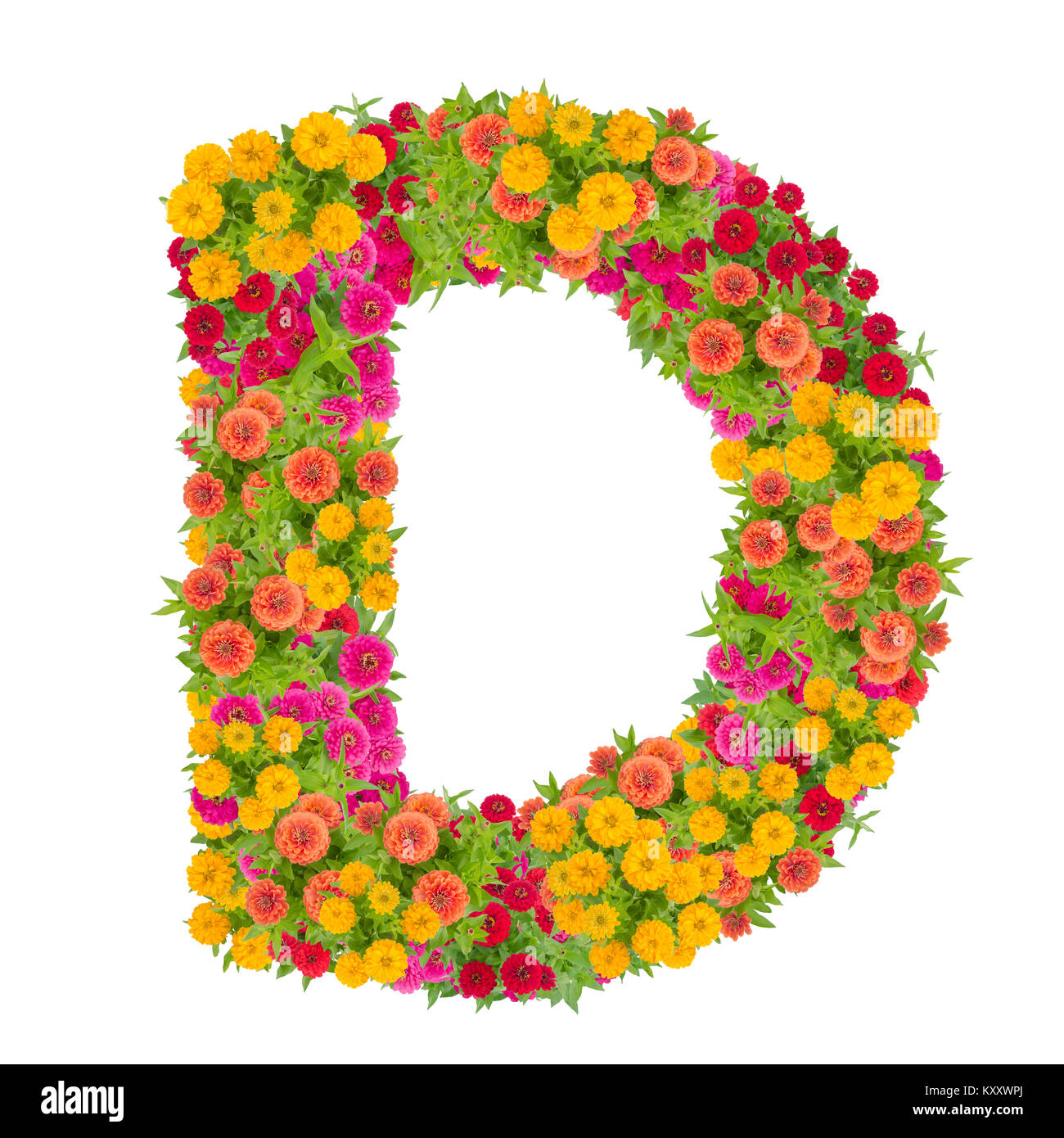 Lettre d'alphabet fait de zinnia ABC fleurs type de concept comme logo.Typographie design with clipping path Banque D'Images