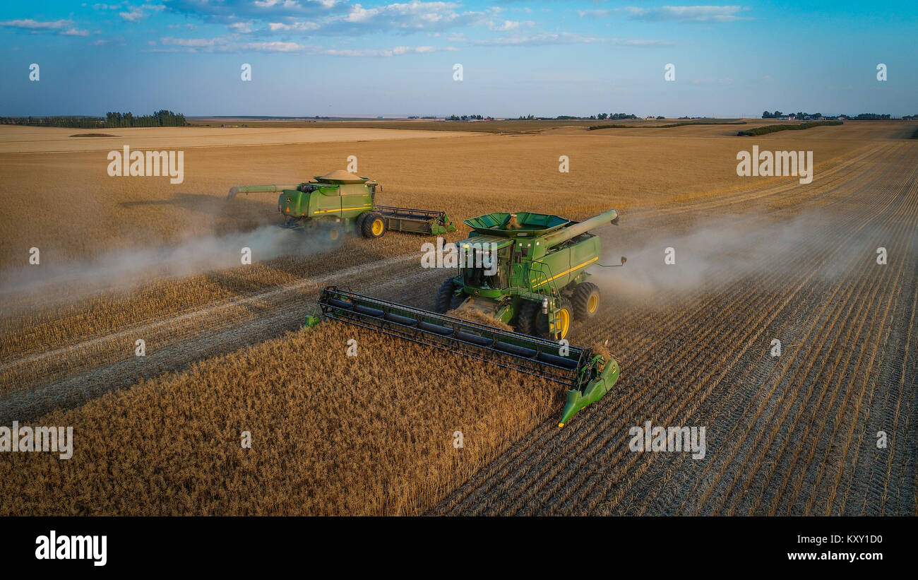 La récolte Banque D'Images