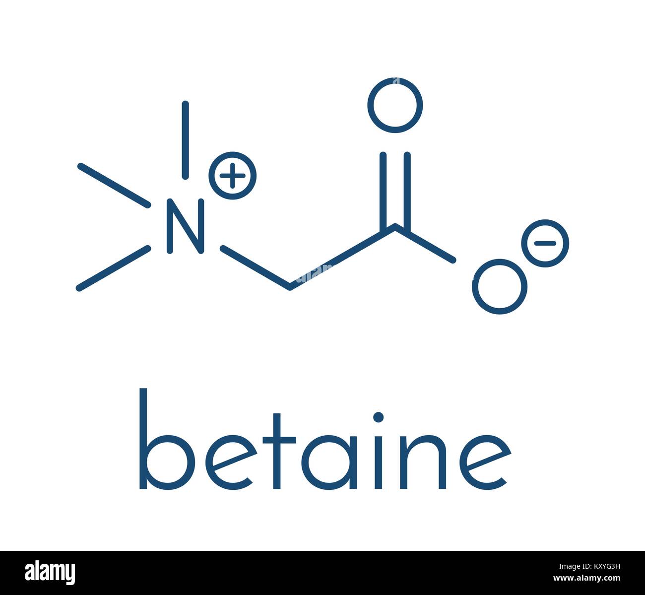 (Bétaïne glycine bétaïne, trimethylglycine) molécule. Initialement trouvé dans le sucre de betterave (Beta vulgaris). Formule topologique. Illustration de Vecteur