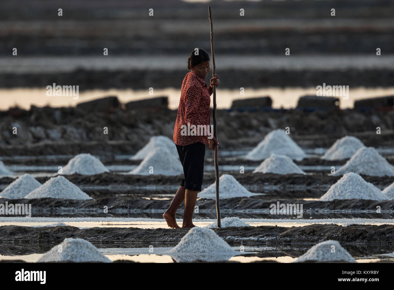 Travailleur dans la production de sel, Salina, Kampot, Cambodge. Femme recueille des pieux, en sel Banque D'Images