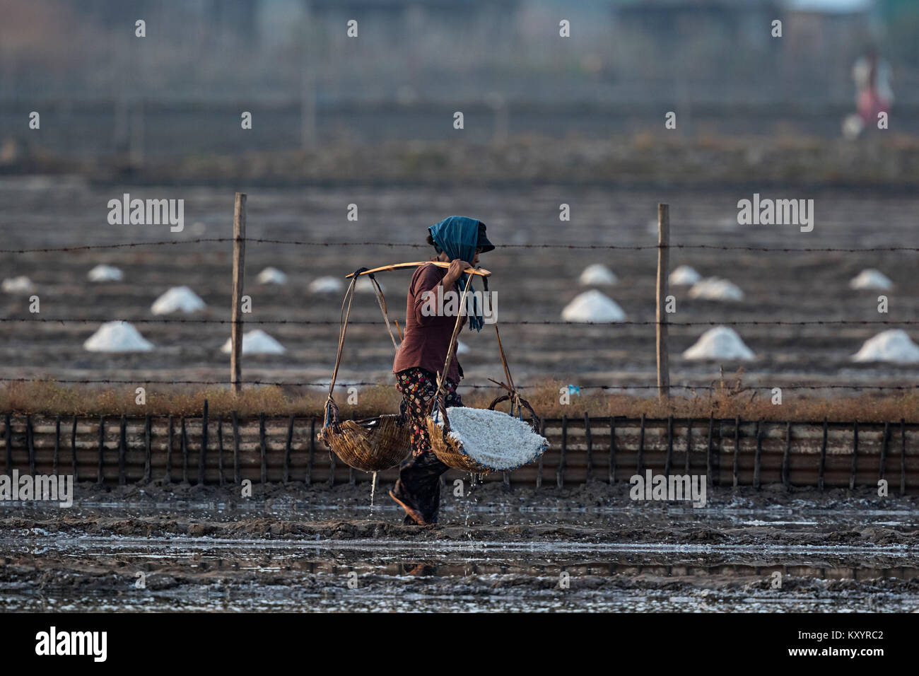 Travailleur dans la production de sel, Salina, Kampot, Cambodge. Le sel est porté par une femme Banque D'Images