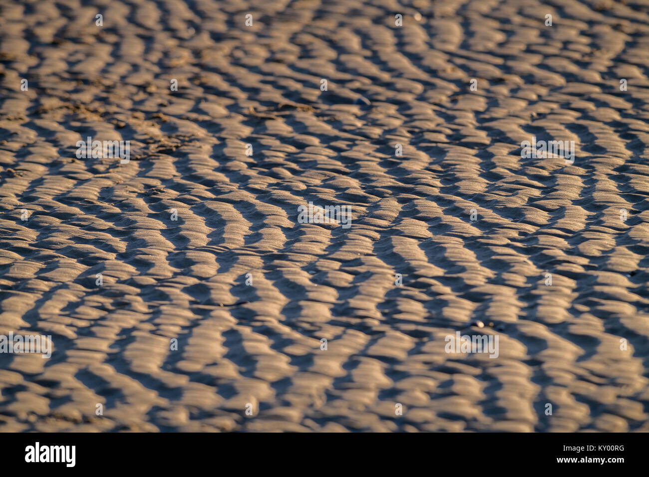 Plage de carrossage en hiver le soleil. Banque D'Images