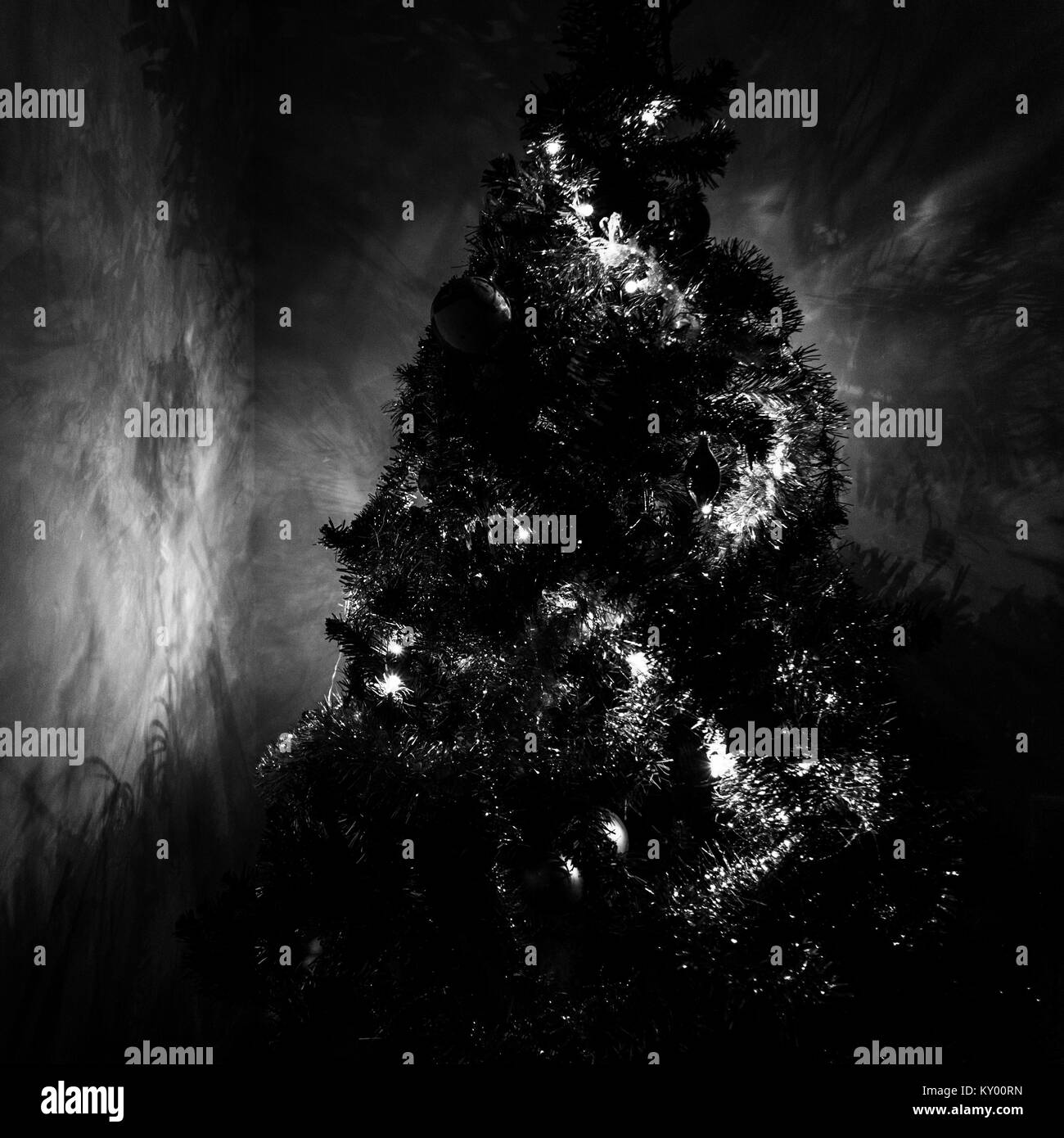 Ombres et lumières d'un sapin de Noël Banque D'Images