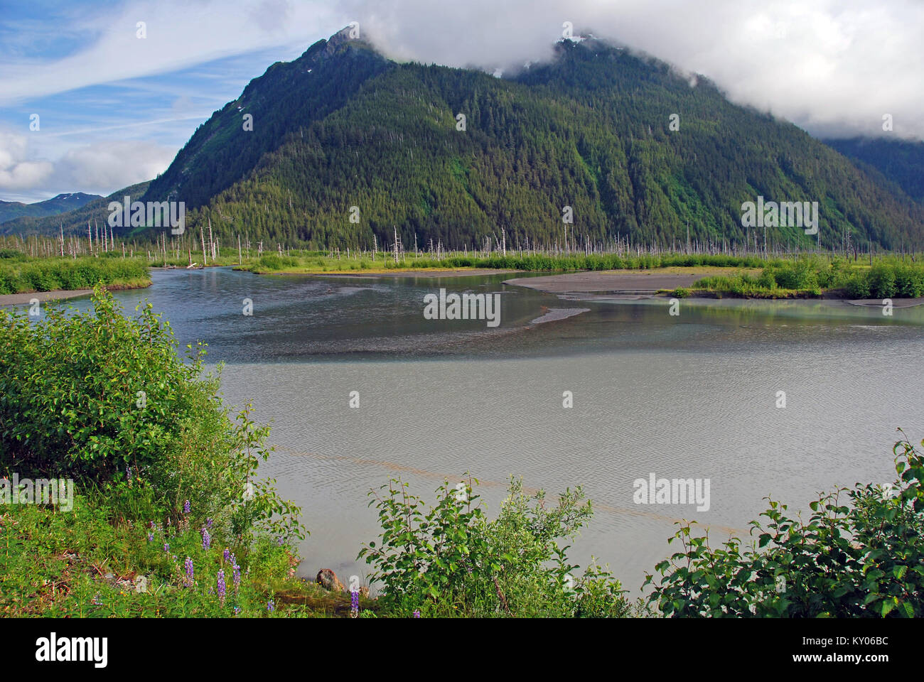 Ces montagnes sont prises dans le Delta de la rivière Copper près de Cordova, en Alaska Banque D'Images