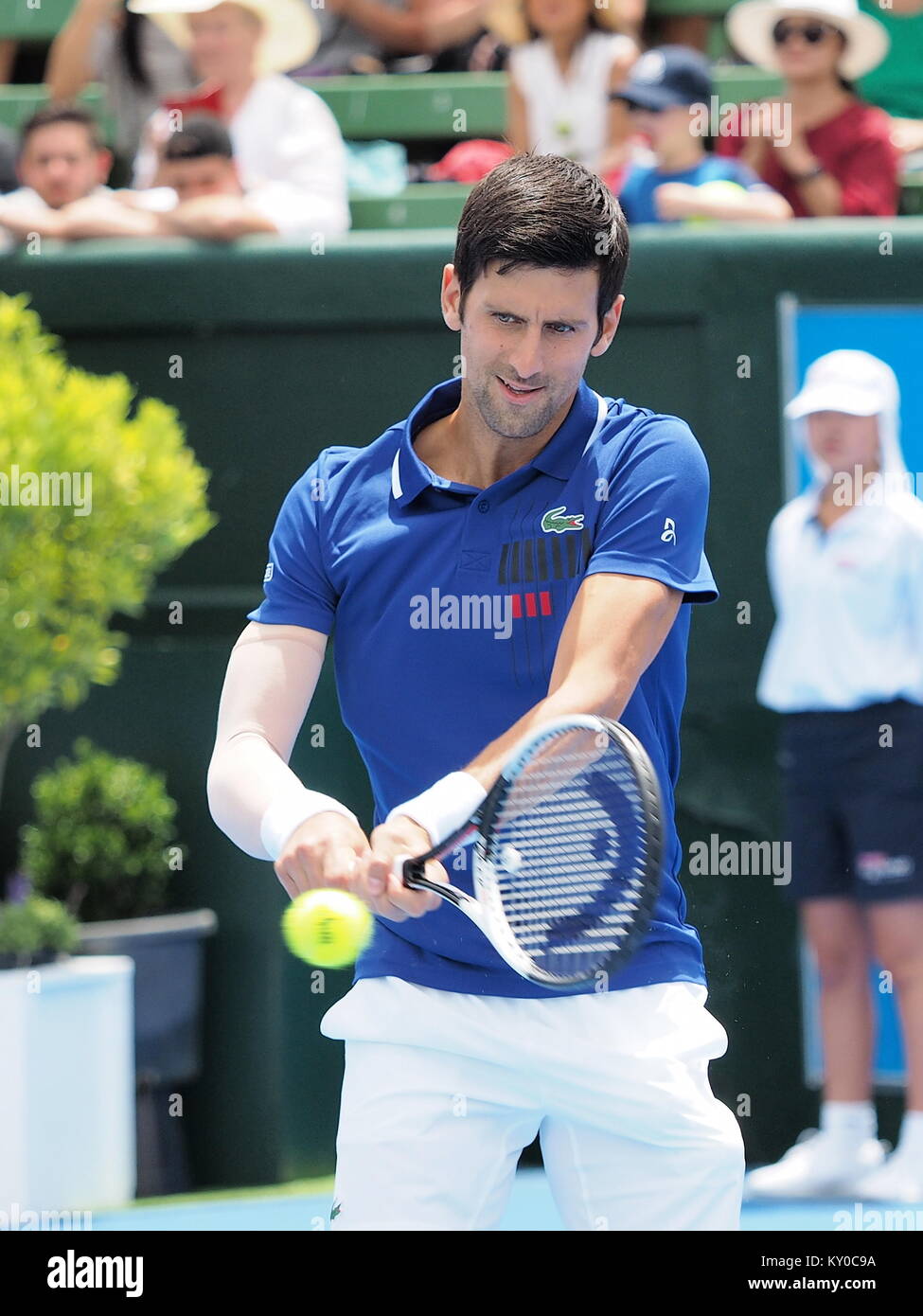 Melbourne, Australie - janvier 10, 2018 Tennis : Novak Djokovic la préparation pour l'Open d'Australie au Tournoi exhibition Kooyong Classic Banque D'Images