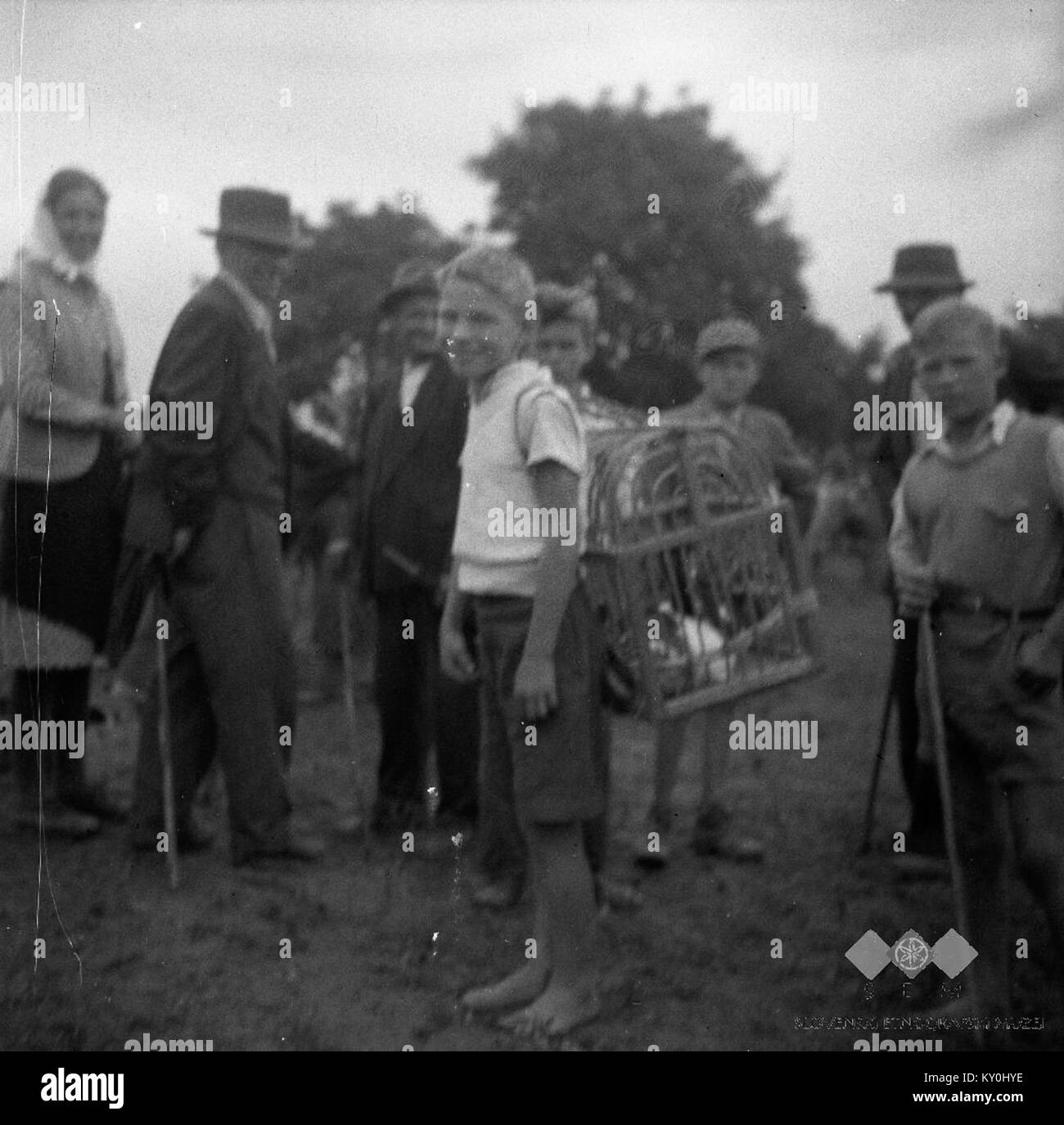 Photographie de 1952 d'une scène de marché montrant la vente de lapins, avec des pigeons en arrière-plan. L'image documente le commerce rural et les pratiques agricoles d'après-guerre. Banque D'Images