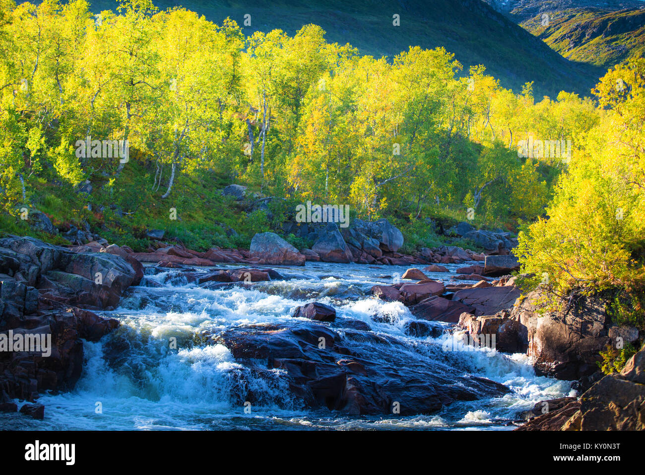 Ruisseau de montagne au coucher du soleil. Paysage du nord au printemps. Nature de la Norvège, l'île de Senja. Banque D'Images