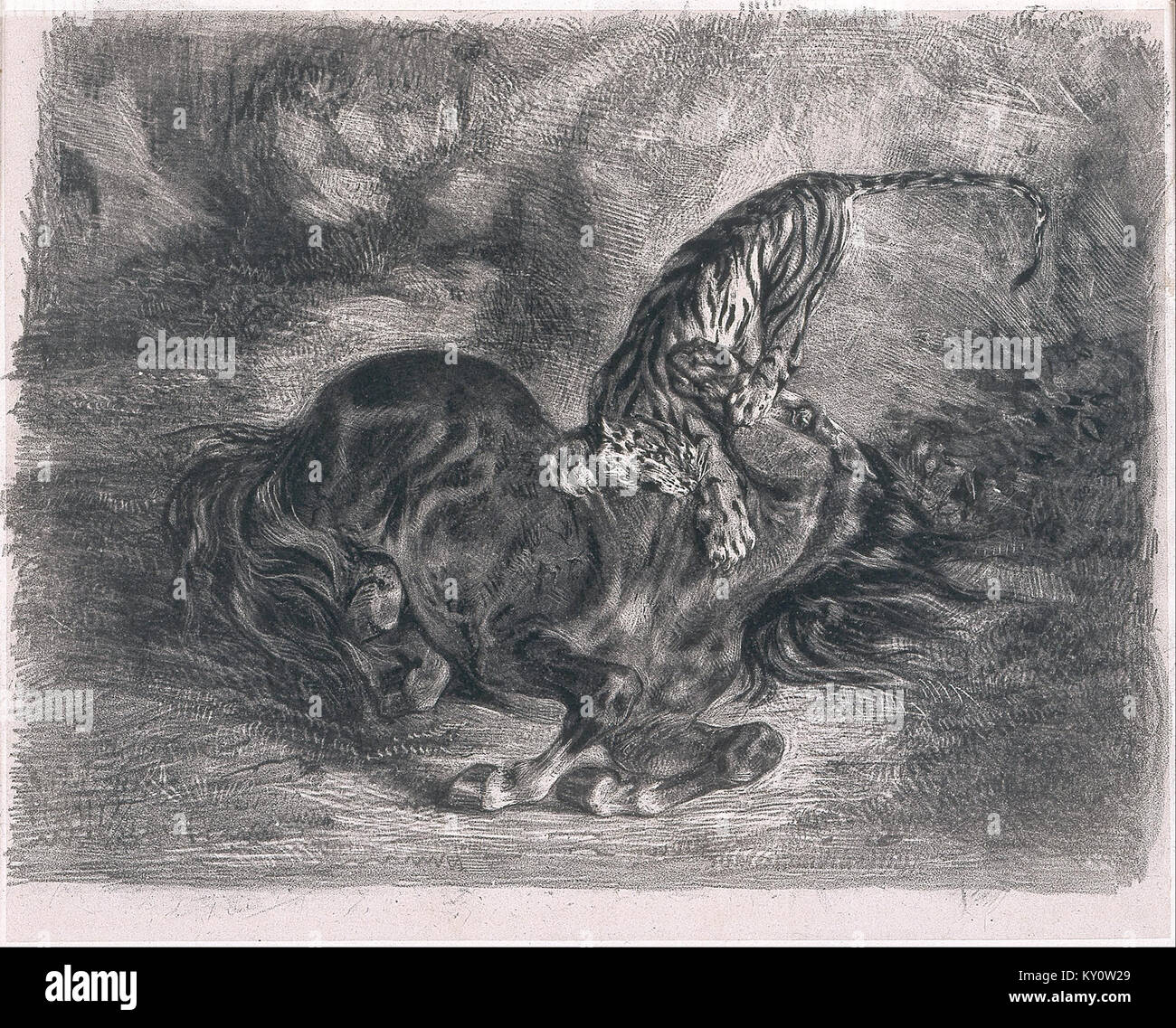 « Wild Horse abattu par un tigre » de Delacroix est une peinture représentant un cheval attaqué par un tigre, illustrant le mouvement dramatique, la couleur et les techniques artistiques romantiques européennes du XIXe siècle. Banque D'Images