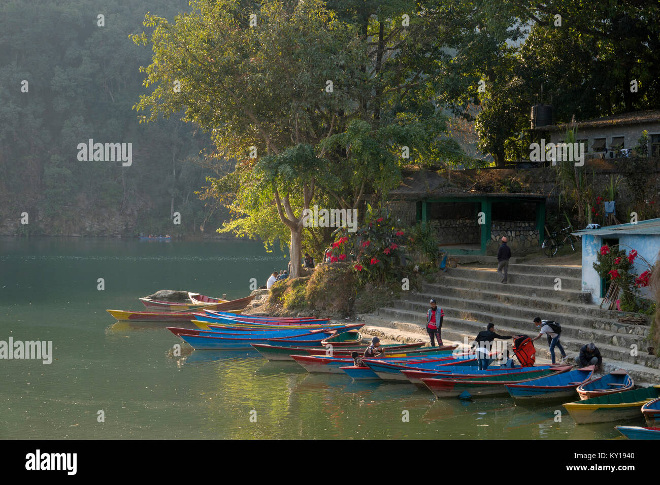 Des bateaux de tourisme en bois coloré au Lac Phewa, Pokhara, Népal Banque D'Images